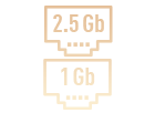 2.5 Gb & 1 Gb Ethernet Logo