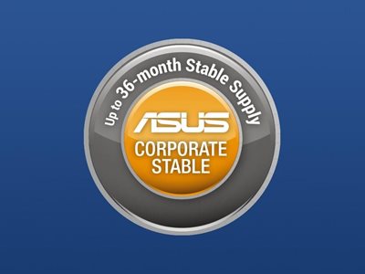 ASUS Corporate Stable Model